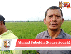 Pemerintahan Desa Bodeh Bersama Petani Melakukan Penyemprotan Tanaman Padi mengunakan Drone Menarik Perhatian Warga