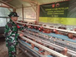 Kodim 0736/Batang Dukung Ketahanan Pangan dengan Budidaya Ayam Petelur