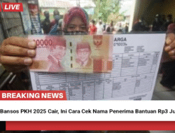 Cek Sekarang! Bansos PKH Tahap 2 Cair Mei 2025, Begini Cara Mengeceknya