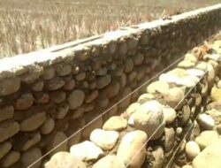 Warga Bongkar Talud Irigasi: Dugaan Pelanggaran Proyek Desa Sengare Menguat