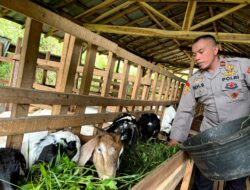 Nyambi Ternak Kambing, Ipda Edi Santoso Jadi Motivasi Bagi Warganya
