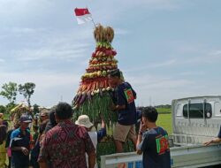Meriah dan Penuh Makna, Warga Desa Jraganan Gelar Tradisi Sedekah Bumi dan Ruwatan