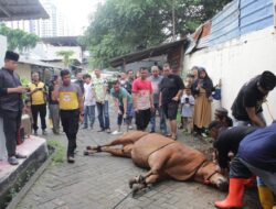 Polsek Kemayoran Tebar Kepedulian di Idul Adha 1446 H: Wujudkan Polisi yang Humanis dan Dekat dengan Masyarakat
