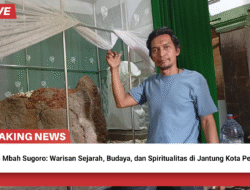 Makam Mbah Sugoro: Warisan Sejarah, Budaya, dan Spiritualitas di Jantung Kota Pekalongan