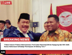 Pakar Hukum Pidana Internasional Minta Kejagung dan MA Sidik Kasus Kekerasan terhadap Perempuan di Batang Toru