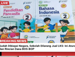 Sudah Dibiayai Negara, Sekolah Dilarang Jual LKS: Ini Aturan dan Rincian Dana BOS-BOP