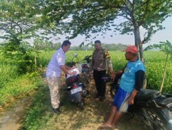 Musibah di Sawah Legokclile: Buruh Tani Meninggal Saat Menyemprot Padi”