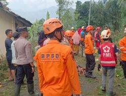 “Angin Kencang Tumbangkan 100 Pohon Pinus, Rusak Rumah Warga dan SD Negeri Kasimpar”