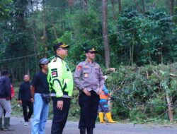 Karo Ops Polda Jateng Tinjau Lokasi Puting Beliung di Petungkriyono, Apresiasi Sinergi TNI-Polri dan Warga