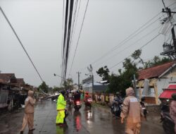 Hujan Deras dan Angin Kencang Terjang Kesesi, Pohon Tumbang hingga Atap Sekolah dan RSUD Rusak