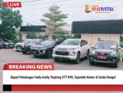 Bupati Pekalongan Fadia Arafiq Terjaring OTT KPK, Sejumlah Kantor di Setda Disegel