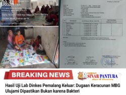 Hasil Uji Lab Dinkes Pemalang Keluar: Dugaan Keracunan MBG Ulujami Dipastikan Bukan karena Bakteri