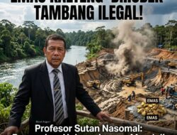 Profesor Sutan Nasomal SH MH Kritik Minimnya Gerakan Ormas Adat Dayak dan Aktivis Menghadapi Gerakan Gelap Peredaran Merkuri di Kalteng