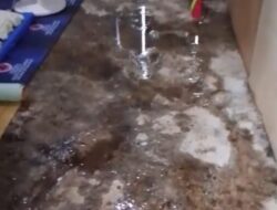 Prof Sutan Nasomal Desak Presiden Instruksikan Kepala Daerah Bangun Huntara Layak, Soroti Dugaan Penyimpangan Anggaran di Bener Meriah