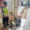 Api Melalap Rumah Warga Karangdadap, Polisi Dalami Penyebab Kebakaran