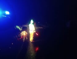 Dahan Pohon Ketapang Tumbang di Jalur Sragi–Pait, Lalu Lintas Sempat Terganggu