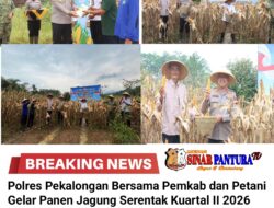 Panen Raya Jagung di Rogoselo, Polres Pekalongan dan Pemkab Perkuat Swasembada Pangan Nasional