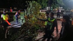 Truk Bermuatan Hebel Tabrak Pohon di Kajen, Arus Lalu Lintas Sempat Tersendat