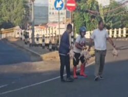 Sigap di Tengah Kesibukan Pagi, Polisi Bantu Punguti Ayam Potong Milik Pengendara yang Terjatuh