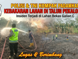 Niat Bersihkan Ilalang, Satu Hektare Lahan Bekas Galian C di Talun Pekalongan Malah Hangus Terbakar