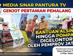 Pemprov Jateng Genjot Produktivitas Pertanian Pemalang, Bantuan Alsintan hingga Pompa Air Digelontorkan
