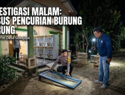 Dua Merpati Senilai Rp70 Juta Digondol Maling, Polsek Bojong Buru Pelaku