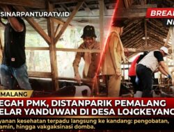 Jemput Bola ke Desa Longkeyang, Distanparik Pemalang Gelar Yanduwan untuk Cegah PMK