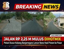 Jalan Rp 2,25 Miliar Mulus Dihotmix, Petani Dusun Kubang Sumringah Angkut Hasil Panen ke Pasar Banjarnegara
